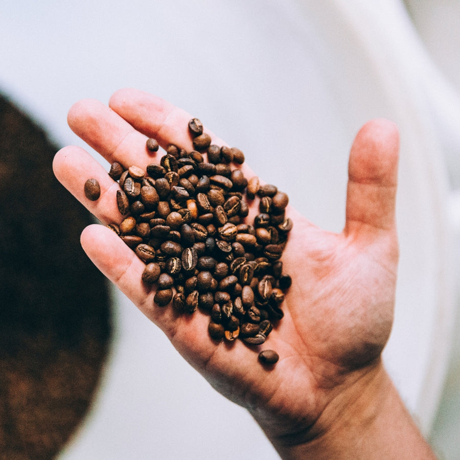 Graine de café tenue dans une main, symbolisant l’ingrédient naturel principal du stick anti-cernes à la caféine Enkrem